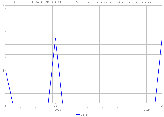 TORREFRESNEDA AGRICOLA GUERRERO S.L. (Spain) Page visits 2024 