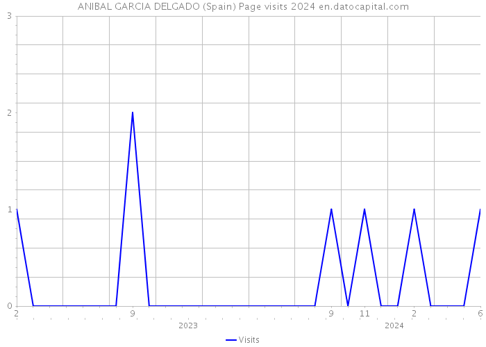 ANIBAL GARCIA DELGADO (Spain) Page visits 2024 