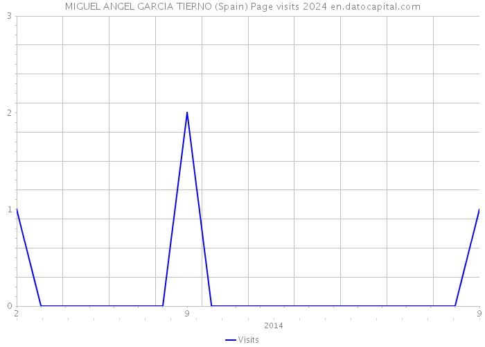 MIGUEL ANGEL GARCIA TIERNO (Spain) Page visits 2024 