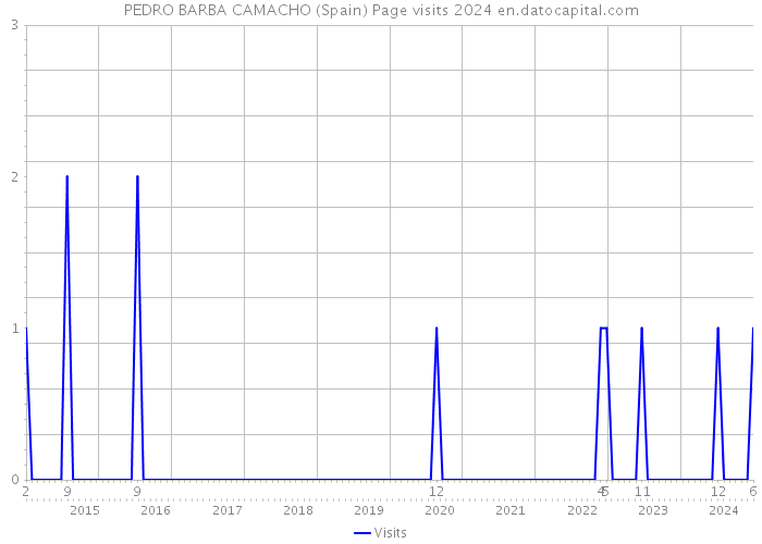 PEDRO BARBA CAMACHO (Spain) Page visits 2024 