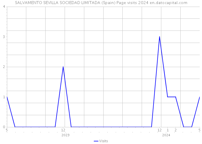 SALVAMENTO SEVILLA SOCIEDAD LIMITADA (Spain) Page visits 2024 