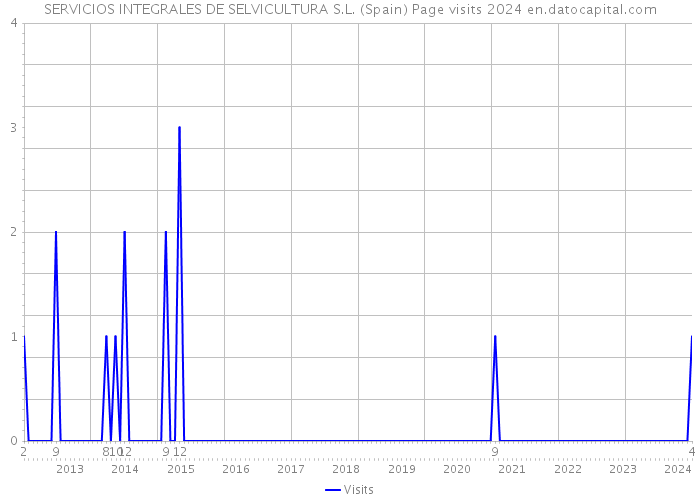 SERVICIOS INTEGRALES DE SELVICULTURA S.L. (Spain) Page visits 2024 