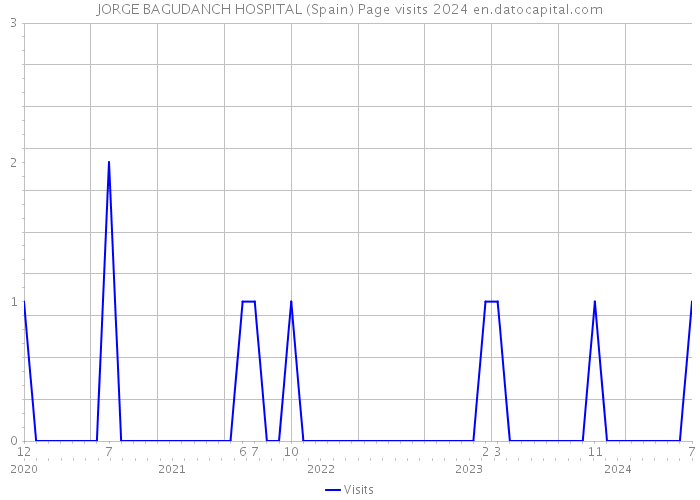 JORGE BAGUDANCH HOSPITAL (Spain) Page visits 2024 