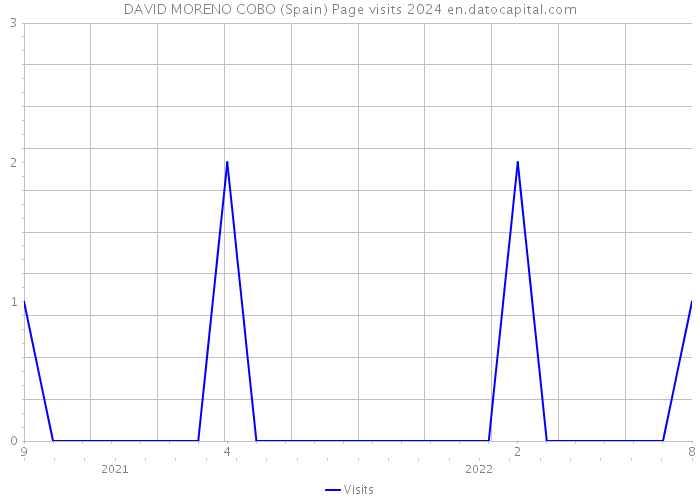 DAVID MORENO COBO (Spain) Page visits 2024 