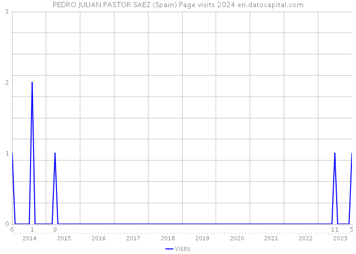 PEDRO JULIAN PASTOR SAEZ (Spain) Page visits 2024 