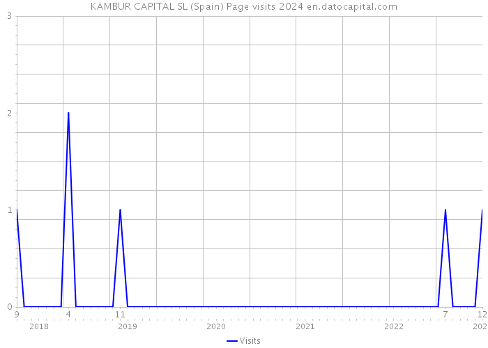 KAMBUR CAPITAL SL (Spain) Page visits 2024 
