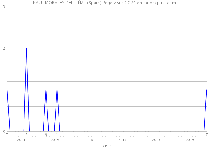 RAUL MORALES DEL PIÑAL (Spain) Page visits 2024 