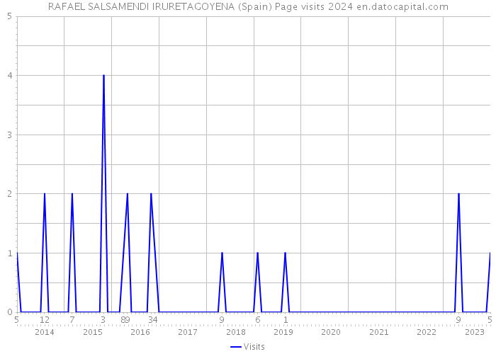 RAFAEL SALSAMENDI IRURETAGOYENA (Spain) Page visits 2024 