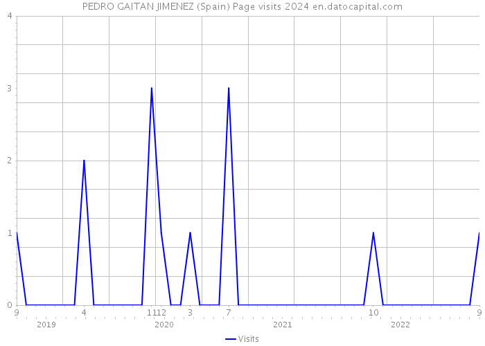 PEDRO GAITAN JIMENEZ (Spain) Page visits 2024 