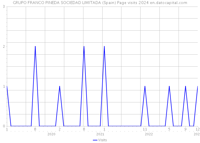 GRUPO FRANCO PINEDA SOCIEDAD LIMITADA (Spain) Page visits 2024 