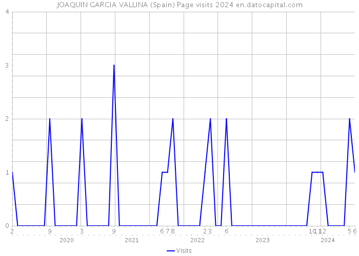 JOAQUIN GARCIA VALLINA (Spain) Page visits 2024 