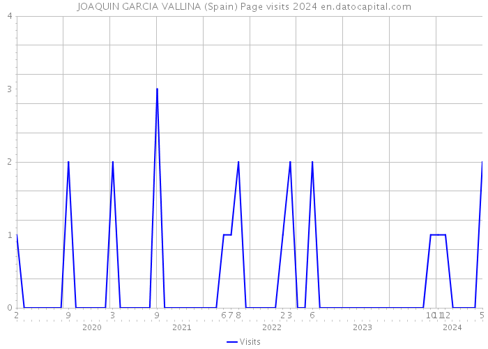 JOAQUIN GARCIA VALLINA (Spain) Page visits 2024 