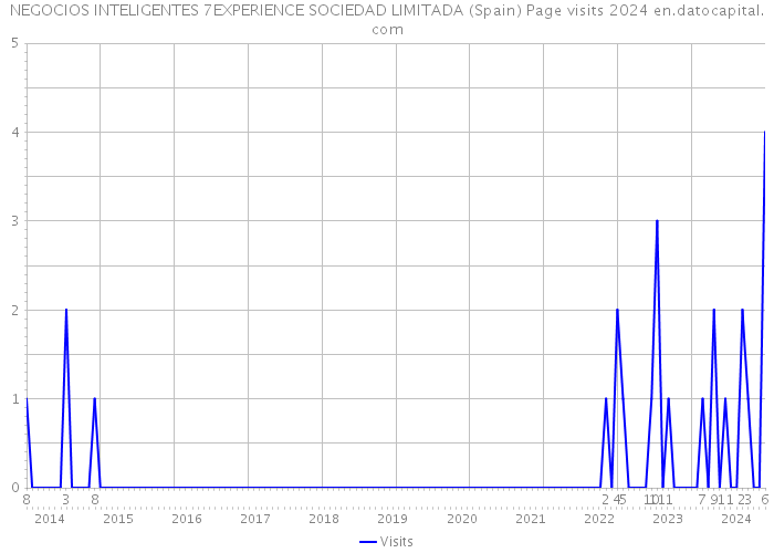 NEGOCIOS INTELIGENTES 7EXPERIENCE SOCIEDAD LIMITADA (Spain) Page visits 2024 