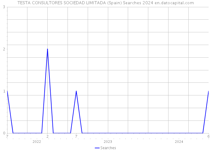 TESTA CONSULTORES SOCIEDAD LIMITADA (Spain) Searches 2024 