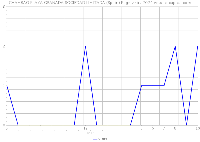 CHAMBAO PLAYA GRANADA SOCIEDAD LIMITADA (Spain) Page visits 2024 