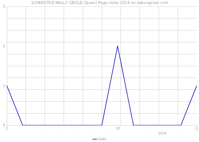 SCHMIDTKE WALLY GEIGLE (Spain) Page visits 2024 