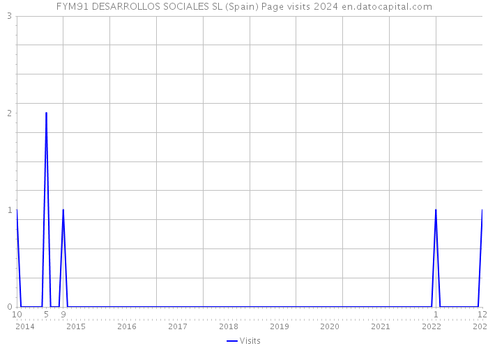 FYM91 DESARROLLOS SOCIALES SL (Spain) Page visits 2024 