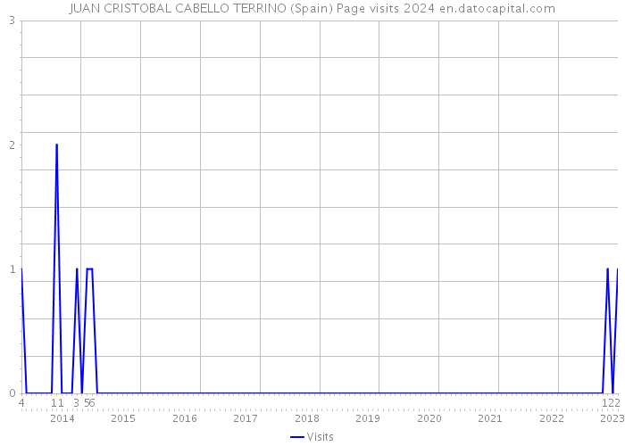 JUAN CRISTOBAL CABELLO TERRINO (Spain) Page visits 2024 
