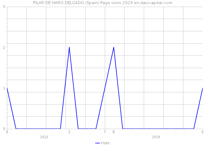 PILAR DE HARO DELGADO (Spain) Page visits 2024 