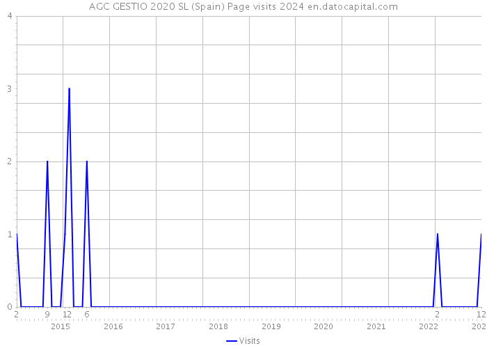 AGC GESTIO 2020 SL (Spain) Page visits 2024 