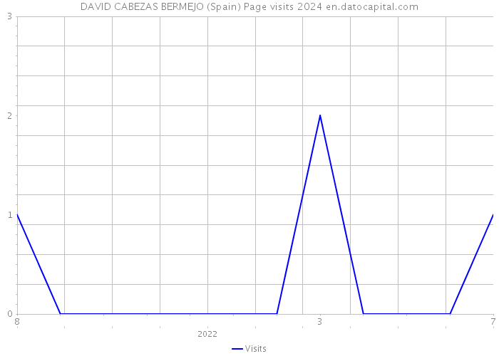 DAVID CABEZAS BERMEJO (Spain) Page visits 2024 