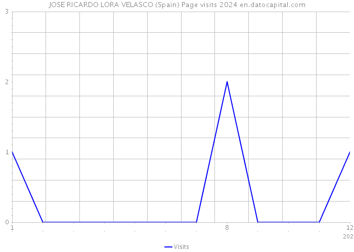 JOSE RICARDO LORA VELASCO (Spain) Page visits 2024 