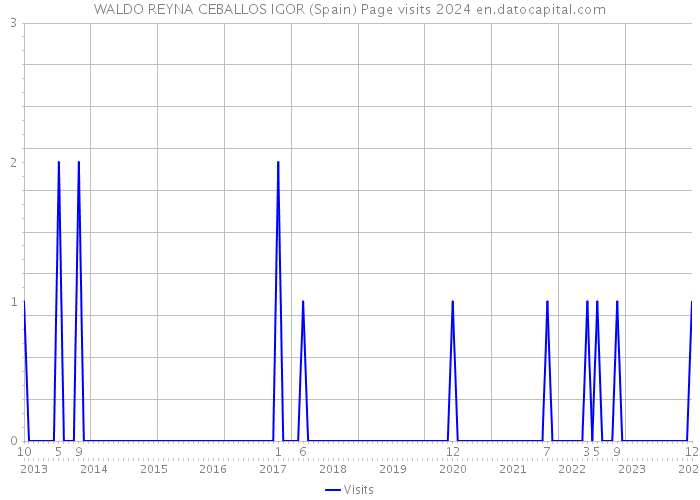 WALDO REYNA CEBALLOS IGOR (Spain) Page visits 2024 
