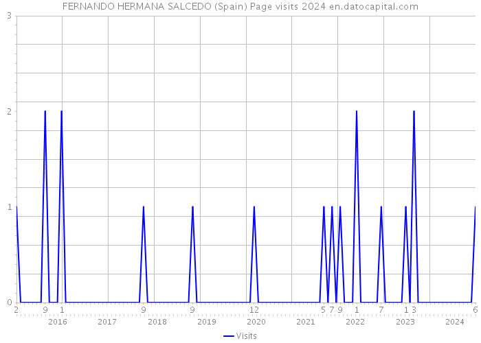 FERNANDO HERMANA SALCEDO (Spain) Page visits 2024 