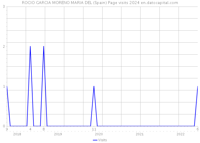 ROCIO GARCIA MORENO MARIA DEL (Spain) Page visits 2024 