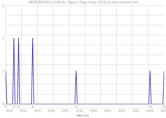 NETEGES MAS LLUHI SL. (Spain) Page visits 2024 