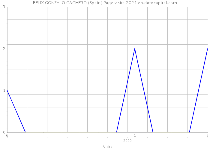FELIX GONZALO CACHERO (Spain) Page visits 2024 