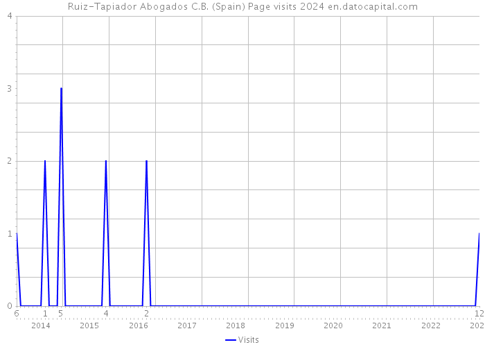 Ruiz-Tapiador Abogados C.B. (Spain) Page visits 2024 