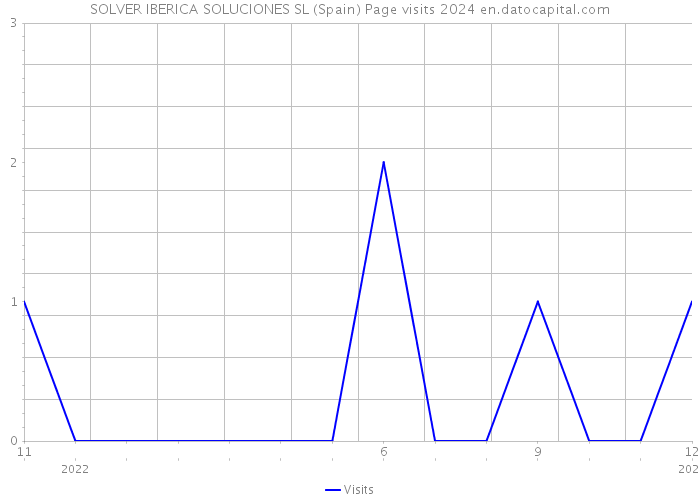 SOLVER IBERICA SOLUCIONES SL (Spain) Page visits 2024 