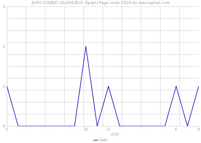 JUAN CONEJO VILLANUEVA (Spain) Page visits 2024 