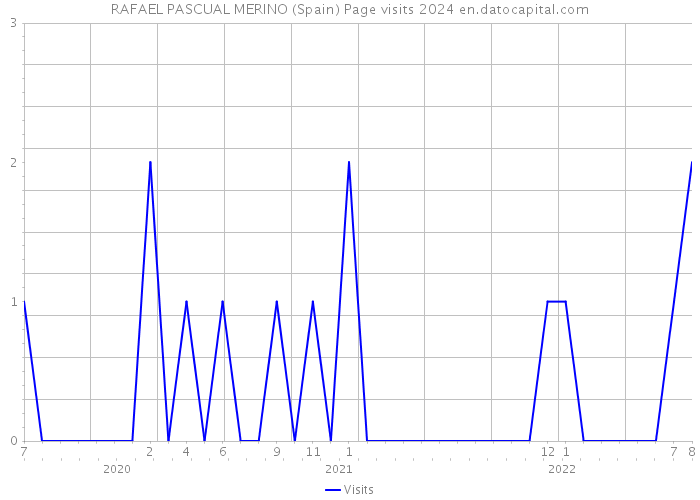 RAFAEL PASCUAL MERINO (Spain) Page visits 2024 