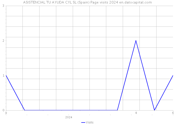 ASISTENCIAL TU AYUDA CYL SL (Spain) Page visits 2024 