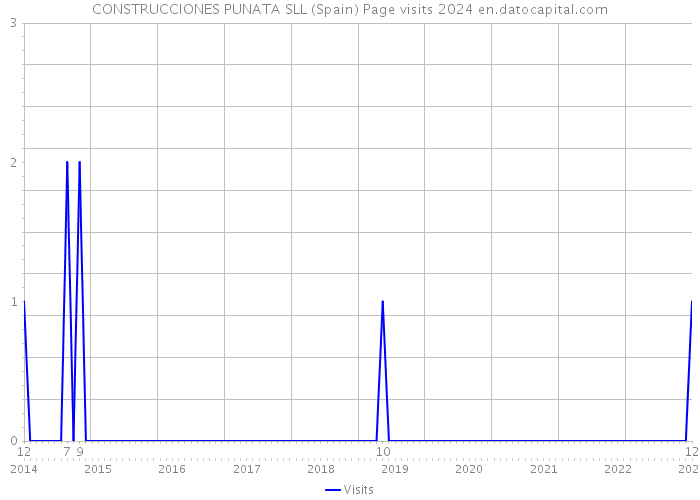 CONSTRUCCIONES PUNATA SLL (Spain) Page visits 2024 