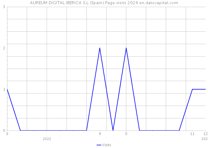 AUREUM DIGITAL IBERICA S.L (Spain) Page visits 2024 