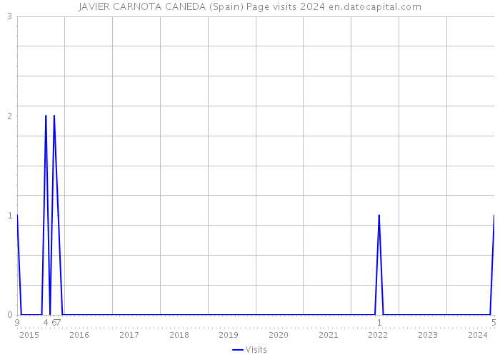 JAVIER CARNOTA CANEDA (Spain) Page visits 2024 