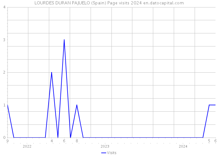 LOURDES DURAN PAJUELO (Spain) Page visits 2024 