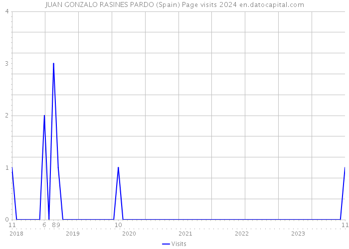 JUAN GONZALO RASINES PARDO (Spain) Page visits 2024 