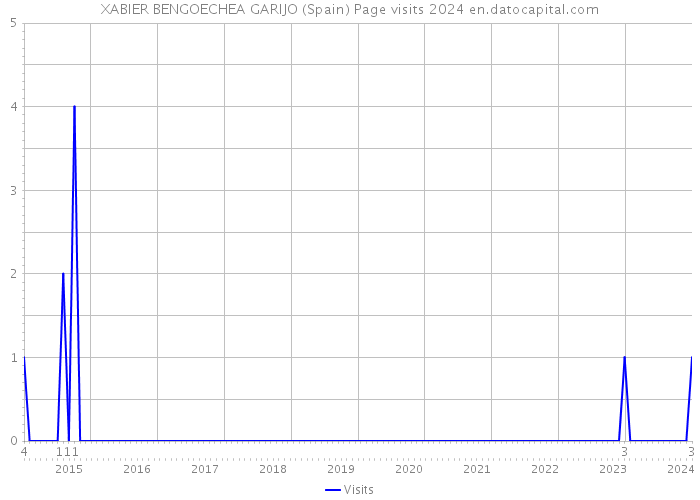 XABIER BENGOECHEA GARIJO (Spain) Page visits 2024 