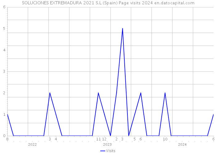 SOLUCIONES EXTREMADURA 2021 S.L (Spain) Page visits 2024 