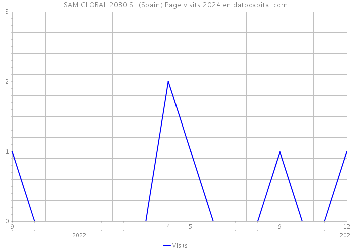 SAM GLOBAL 2030 SL (Spain) Page visits 2024 