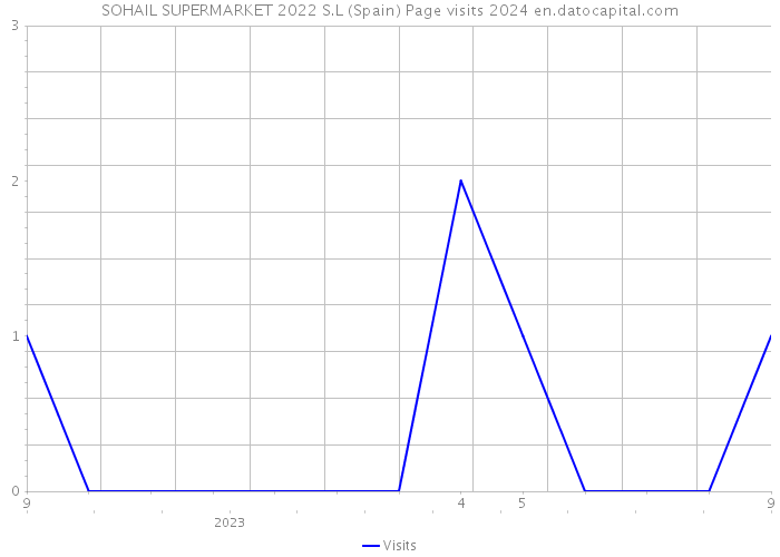 SOHAIL SUPERMARKET 2022 S.L (Spain) Page visits 2024 