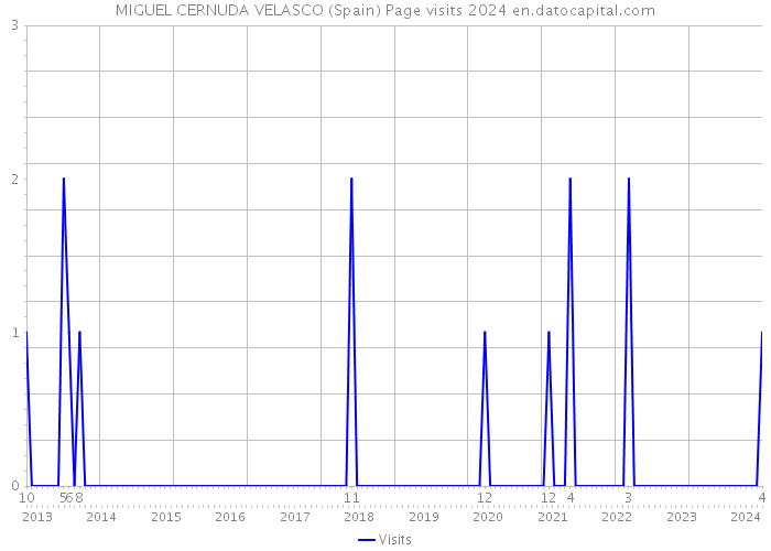 MIGUEL CERNUDA VELASCO (Spain) Page visits 2024 