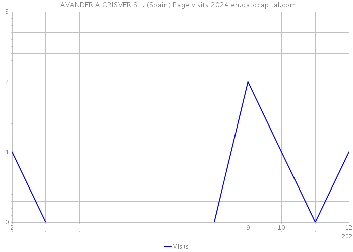 LAVANDERIA CRISVER S.L. (Spain) Page visits 2024 