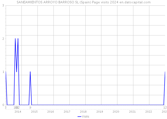 SANEAMIENTOS ARROYO BARROSO SL (Spain) Page visits 2024 