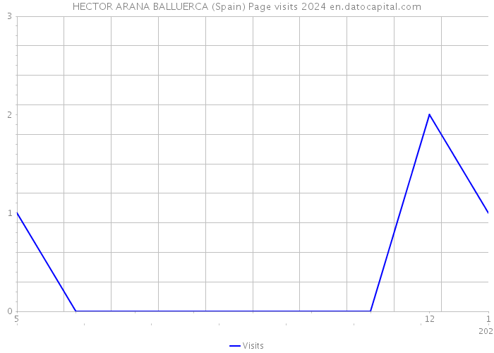 HECTOR ARANA BALLUERCA (Spain) Page visits 2024 