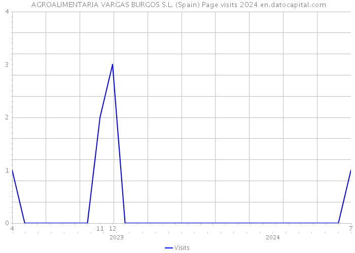  AGROALIMENTARIA VARGAS BURGOS S.L. (Spain) Page visits 2024 